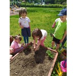 dzieci sadzą kwiatki 2.jpg