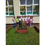 dzieci sadzą kwiatki 5.jpg